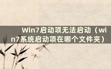 Win7启动项无法启动（win7系统启动项在哪个文件夹）