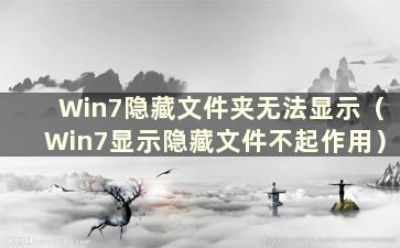 Win7隐藏文件夹无法显示（Win7显示隐藏文件不起作用）