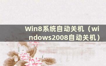 Win8系统自动关机（windows2008自动关机）