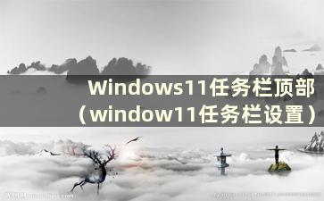 Windows11任务栏顶部（window11任务栏设置）