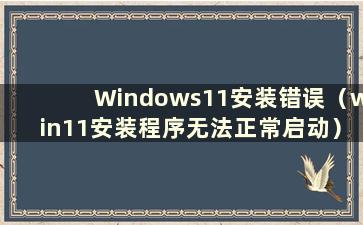 Windows11安装错误（win11安装程序无法正常启动）