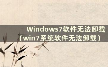 Windows7软件无法卸载（win7系统软件无法卸载）