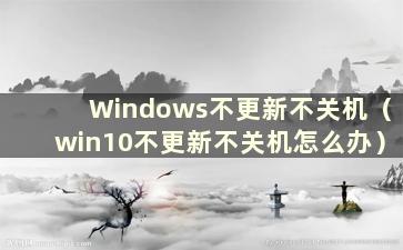 Windows不更新不关机（win10不更新不关机怎么办）