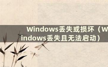 Windows丢失或损坏（Windows丢失且无法启动）