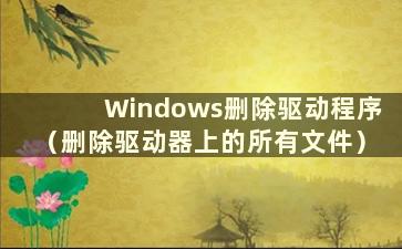 Windows删除驱动程序（删除驱动器上的所有文件）