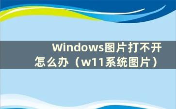 Windows图片打不开怎么办（w11系统图片）