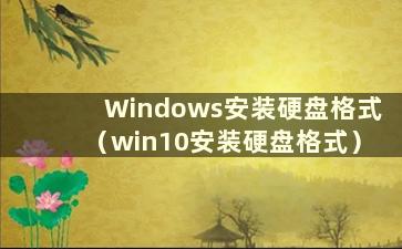 Windows安装硬盘格式（win10安装硬盘格式）