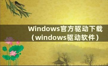 Windows官方驱动下载（windows驱动软件）