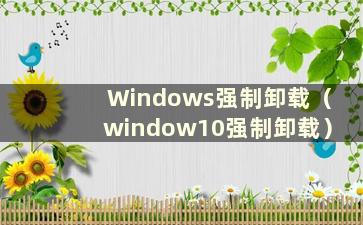 Windows强制卸载（window10强制卸载）