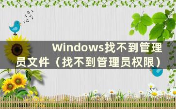 Windows找不到管理员文件（找不到管理员权限）