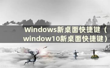 Windows新桌面快捷键（window10新桌面快捷键）