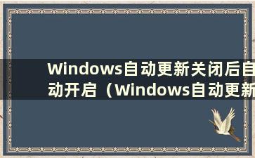 Windows自动更新关闭后自动开启（Windows自动更新关闭了还可以吗）