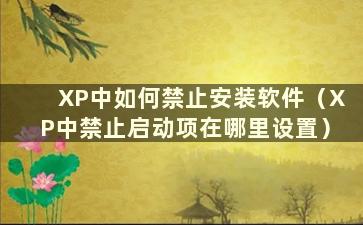 XP中如何禁止安装软件（XP中禁止启动项在哪里设置）