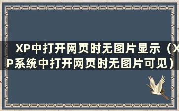 XP中打开网页时无图片显示（XP系统中打开网页时无图片可见）