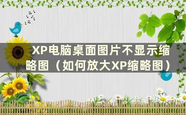 XP电脑桌面图片不显示缩略图（如何放大XP缩略图）