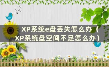 XP系统e盘丢失怎么办（XP系统盘空间不足怎么办）