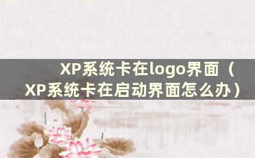 XP系统卡在logo界面（XP系统卡在启动界面怎么办）