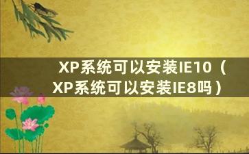 XP系统可以安装IE10（XP系统可以安装IE8吗）