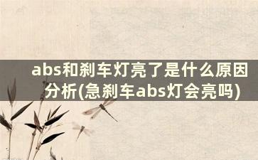 abs和刹车灯亮了是什么原因分析(急刹车abs灯会亮吗)