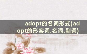 adopt的名词形式(adopt的形容词,名词,副词)