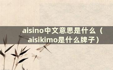 aisino中文意思是什么（aisikimo是什么牌子）