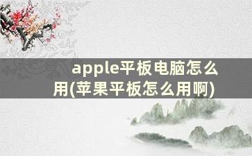 apple平板电脑怎么用(苹果平板怎么用啊)