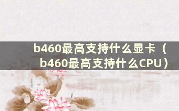 b460最高支持什么显卡（b460最高支持什么CPU）