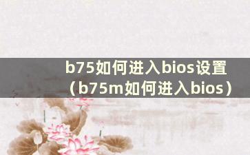 b75如何进入bios设置（b75m如何进入bios）