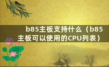 b85主板支持什么（b85主板可以使用的CPU列表）