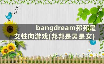 bangdream邦邦是女性向游戏(邦邦是男是女)