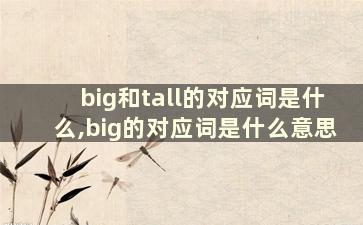 big和tall的对应词是什么,big的对应词是什么意思