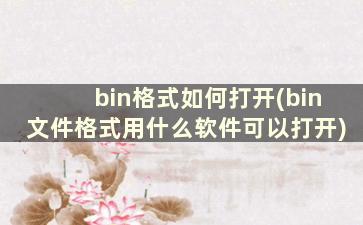 bin格式如何打开(bin文件格式用什么软件可以打开)