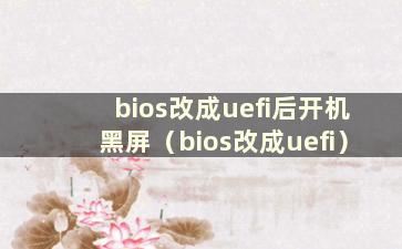 bios改成uefi后开机黑屏（bios改成uefi）