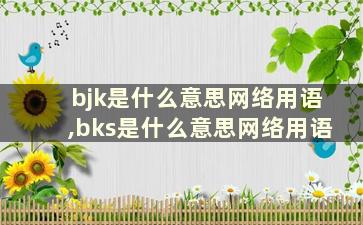 bjk是什么意思网络用语,bks是什么意思网络用语