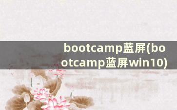 bootcamp蓝屏(bootcamp蓝屏win10)