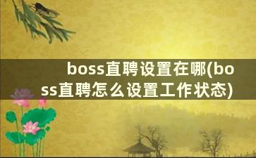 boss直聘设置在哪(boss直聘怎么设置工作状态)