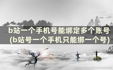 b站一个手机号能绑定多个账号(b站号一个手机只能绑一个号)