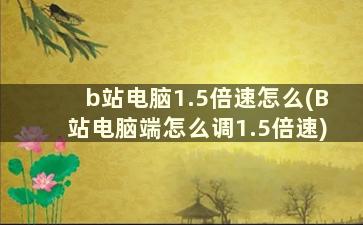 b站电脑1.5倍速怎么(B站电脑端怎么调1.5倍速)