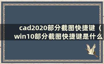 cad2020部分截图快捷键（win10部分截图快捷键是什么）