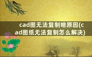 cad图无法复制啥原因(cad图纸无法复制怎么解决)