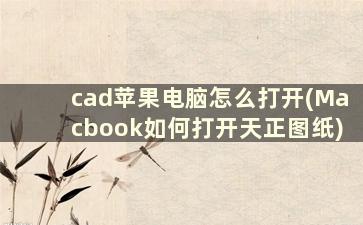 cad苹果电脑怎么打开(Macbook如何打开天正图纸)