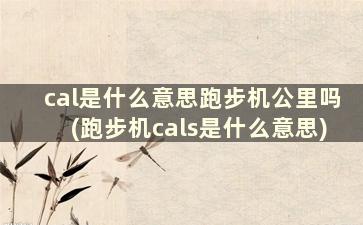 cal是什么意思跑步机公里吗(跑步机cals是什么意思)