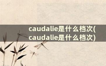 caudalie是什么档次(caudalie是什么档次)