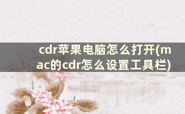 cdr苹果电脑怎么打开(mac的cdr怎么设置工具栏)