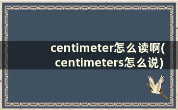 centimeter怎么读啊(centimeters怎么说)