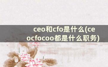 ceo和cfo是什么(ceocfocoo都是什么职务)