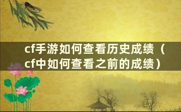 cf手游如何查看历史成绩（cf中如何查看之前的成绩）