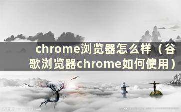 chrome浏览器怎么样（谷歌浏览器chrome如何使用）