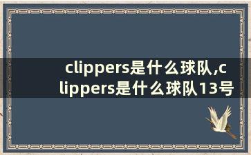 clippers是什么球队,clippers是什么球队13号