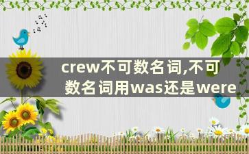 crew不可数名词,不可数名词用was还是were